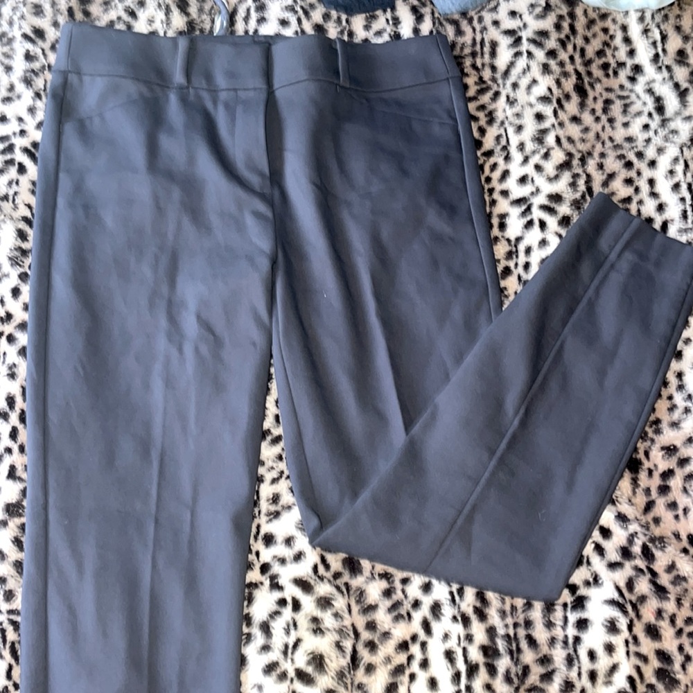 Grey Trouser pants
